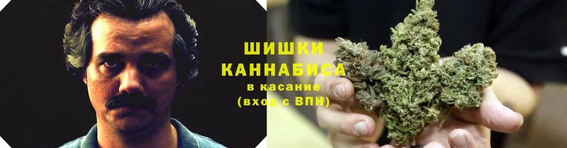 Бошки марихуана планчик  как найти закладки  Гулькевичи 